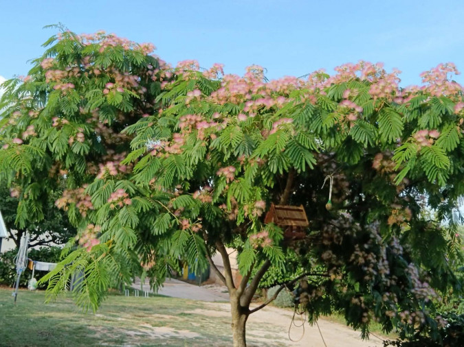 Exterior, Apartman Lavander  Pula