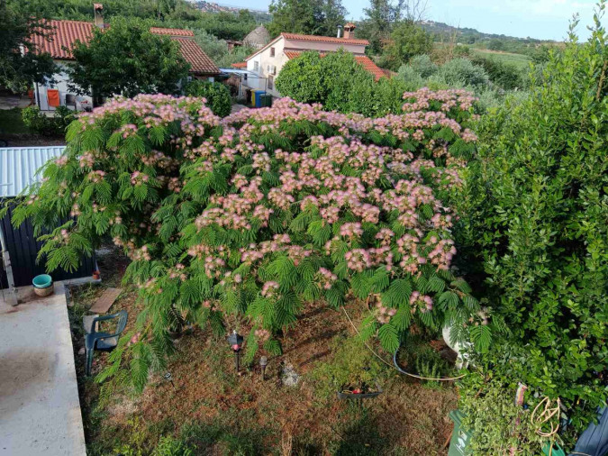 Exterior, Apartman Lavander  Pula