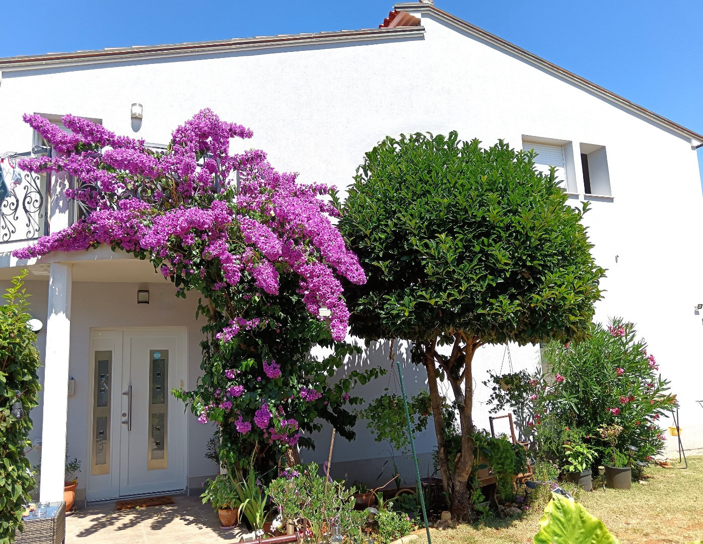 Apartments Lavander - A blend of nature and comfort — a perfect holiday in Pula, Apartman Lavander  Pula